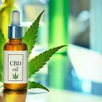 Greg Gutfeld CBD Oil Buy Now