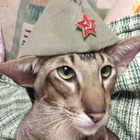 Юлия