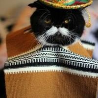 el_pablo