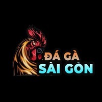 Đá Gà Sài Gòn - Kiến Thức đá Gà Cựa Dao, đá Gà Thomo 2025