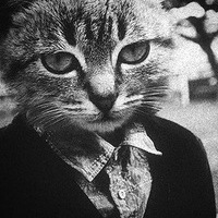 HoboCat
