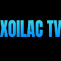 boalogistics giả mạo