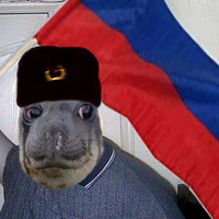 Marat Volkov