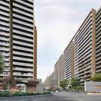 Prestige Evergreen