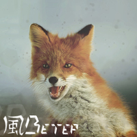 Veo