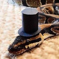 doktop