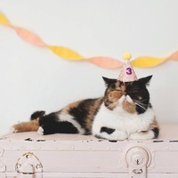 Vladislav Vologodskiy