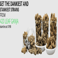 buy weeds online europe