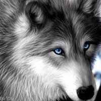 WolfyZ