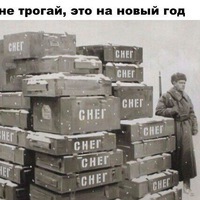 Динар Мамлеев