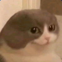 PONS_FEAR (youtube, twitch, tiktok)