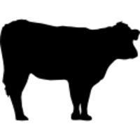 heralasf