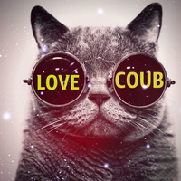 [♥ Coub]