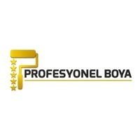 Profesyonel Boya