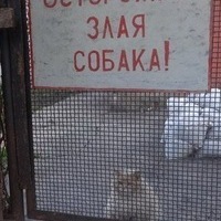 Александра Францева