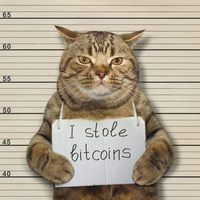 Blockchain Cat