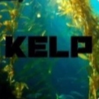 Kelp