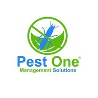 Dịch vụ diệt côn trùng Pest  One VN