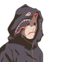 HikaruDeez
