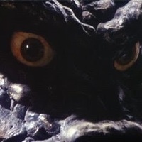 PULGASARI