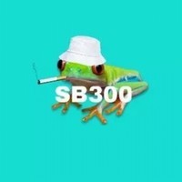 Shedewbeast300