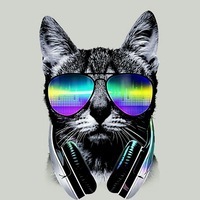 Денис Костин