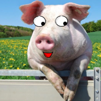 animalcraft3