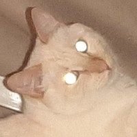 __m__any