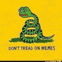 Patriot Patrick 🐸🐸