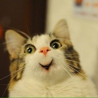 Михаил Бывшев