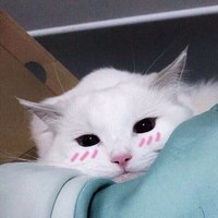 あなたの夢