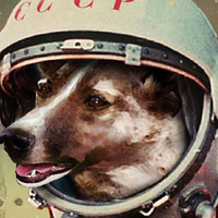 Cão espacial
