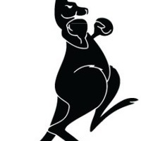 WallabyKick