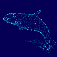 Sergey Orca