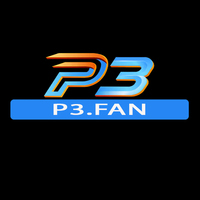 P3
