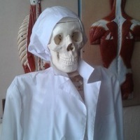 Alexandr Lord766