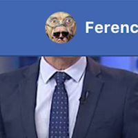 Ffhammer
