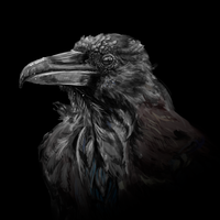 Tengu