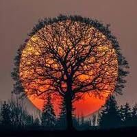 Nature World