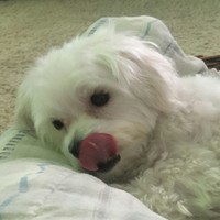 Cam_J720
