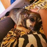 Кирилл Лебедев