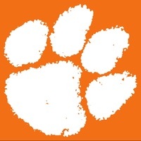 tiger89