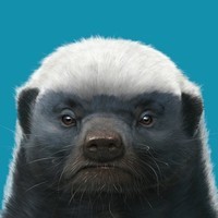 HoneyBadger 