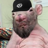USickFuck