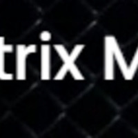 mixed martial arts singapore