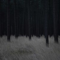 Книжки
