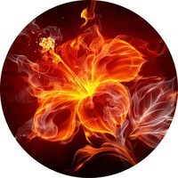 exothermic
