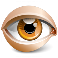 The_eye