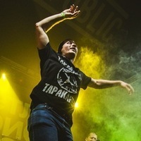 Павел Мещаненко