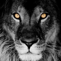 Mecenatos  Arieetzor